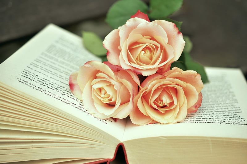 Reimagined Book Pages
